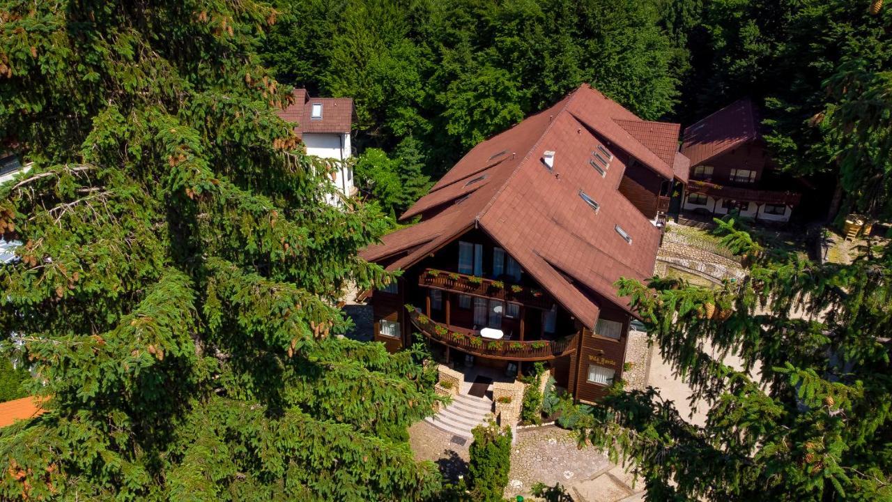 Vila Zorile Poiana Brasov Extérieur photo
