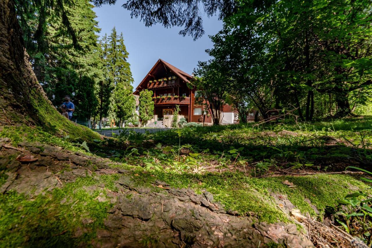 Vila Zorile Poiana Brasov Extérieur photo