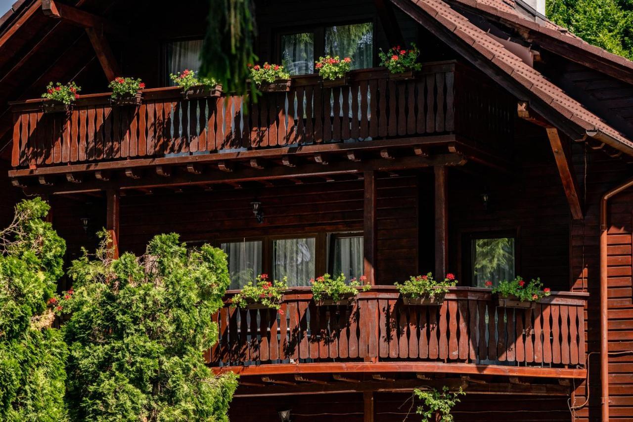 Vila Zorile Poiana Brasov Extérieur photo