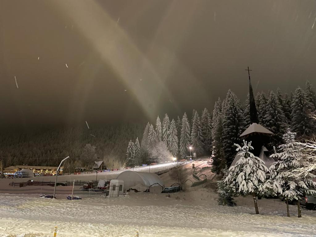 Vila Zorile Poiana Brasov Extérieur photo